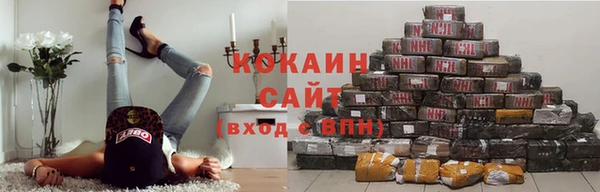 МДПВ Богородицк