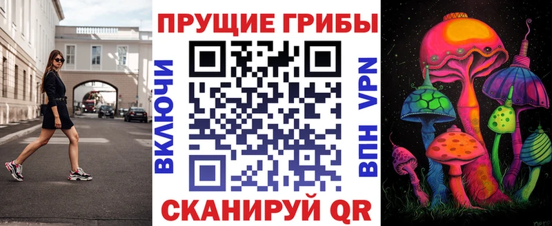 Галлюциногенные грибы Cubensis  сайты даркнета официальный сайт  Белореченск  купить закладку 